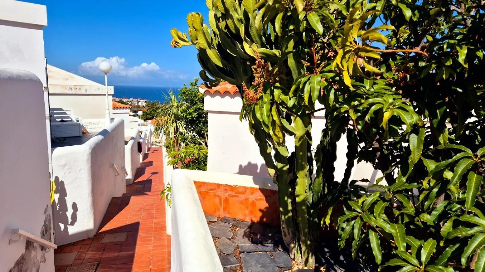 Costa Adeje Bungalow -Tenerife Semesterbostad
